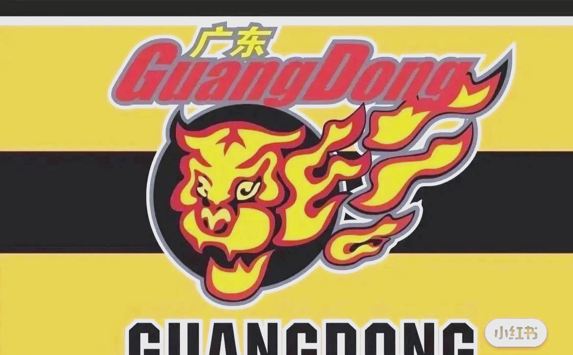 广东队在对阵天津队中再次失利 广东队在对阵天津队中再次失利